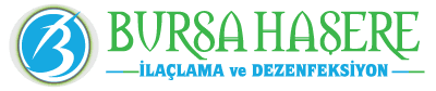 Bursa Haşere Dezenfeksiyon ve İlaçlama
